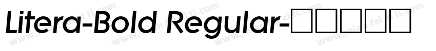 Litera-Bold Regular字体转换